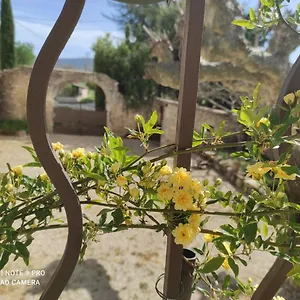 Entre Blé Et Lavande Bonnieux